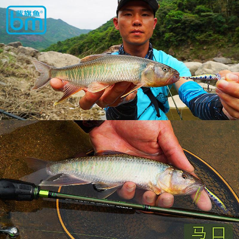 路亚bm(路亚bass)