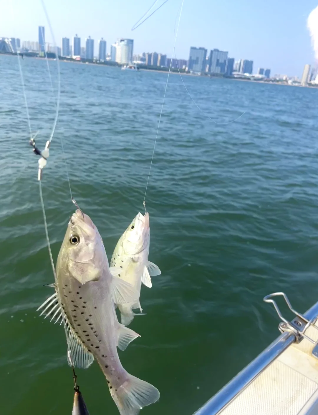 海钓管食图片(海钓现场)