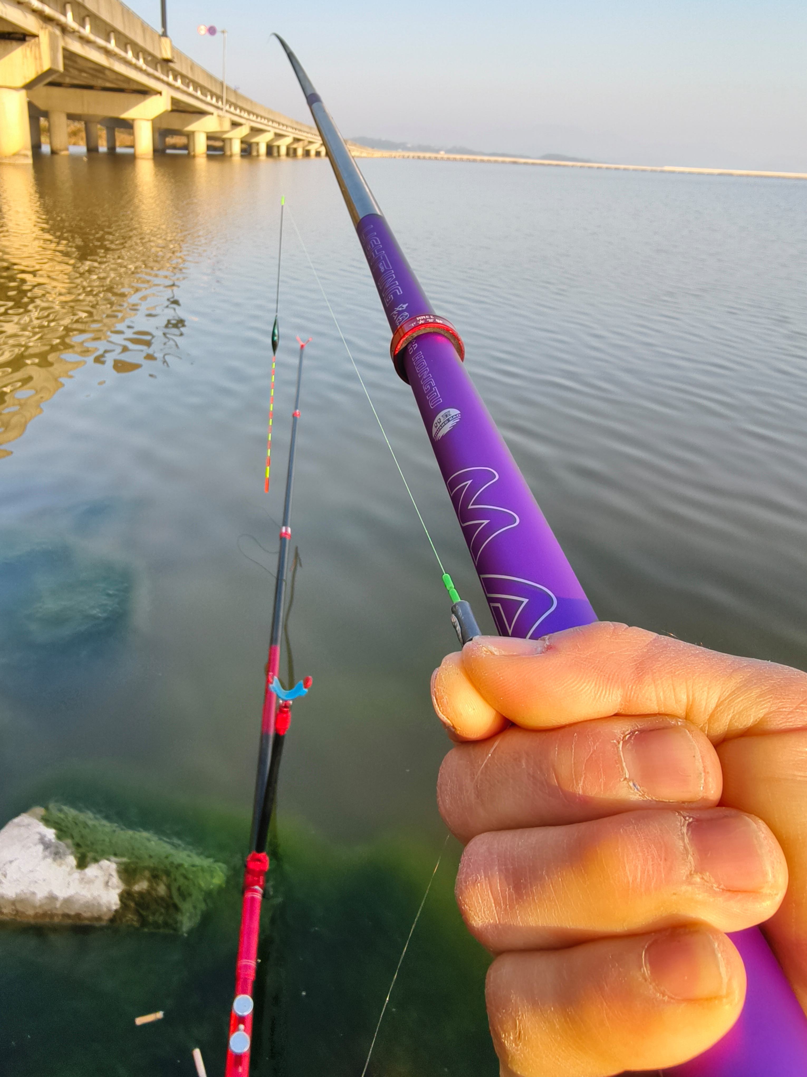 手车竿的使用技巧(手车竿钓法)