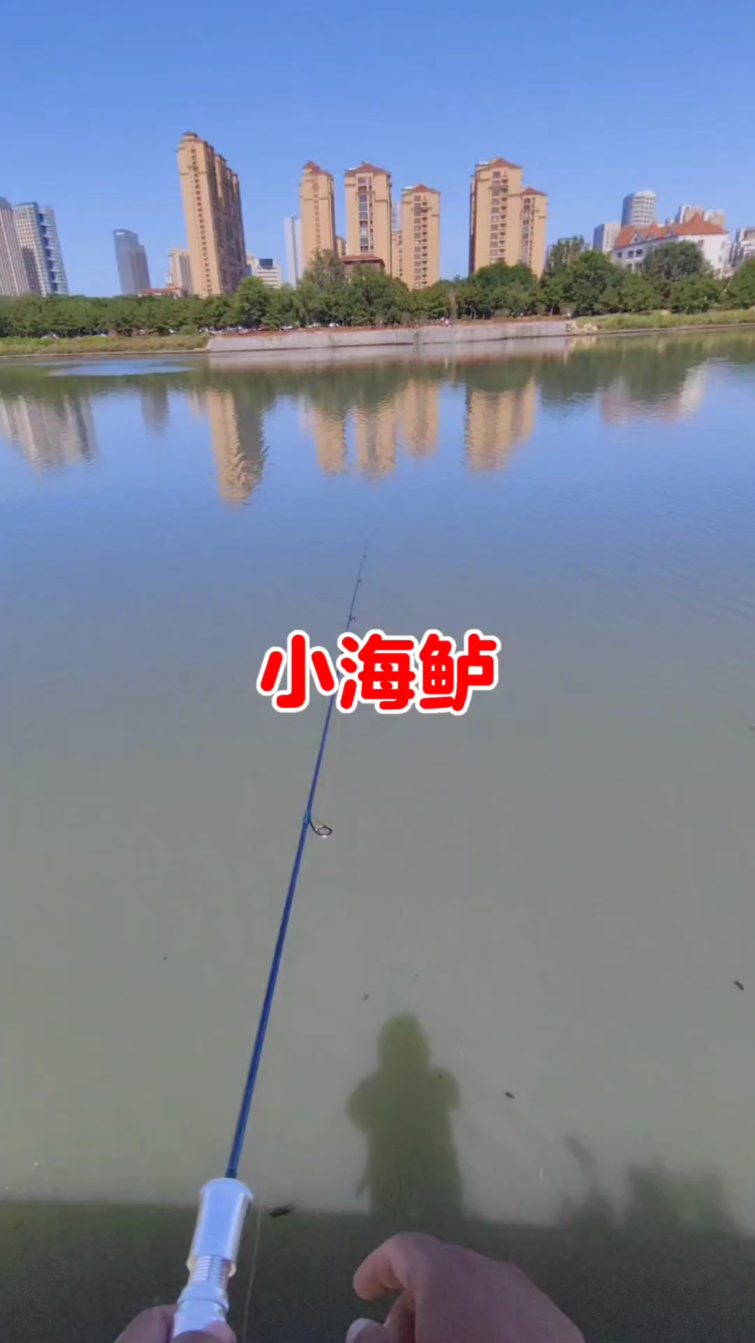 宁波路亚海鲈地点(路亚海鲈最佳假饵)