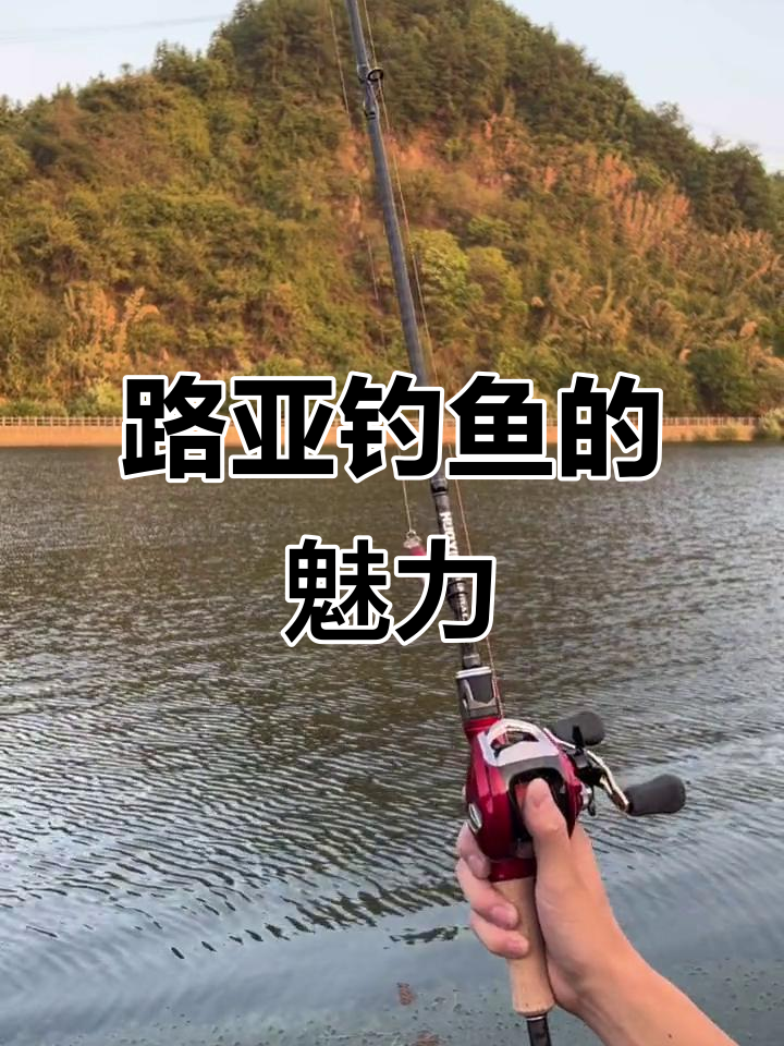 路亚钓鱼吧(路亚钓法视频)