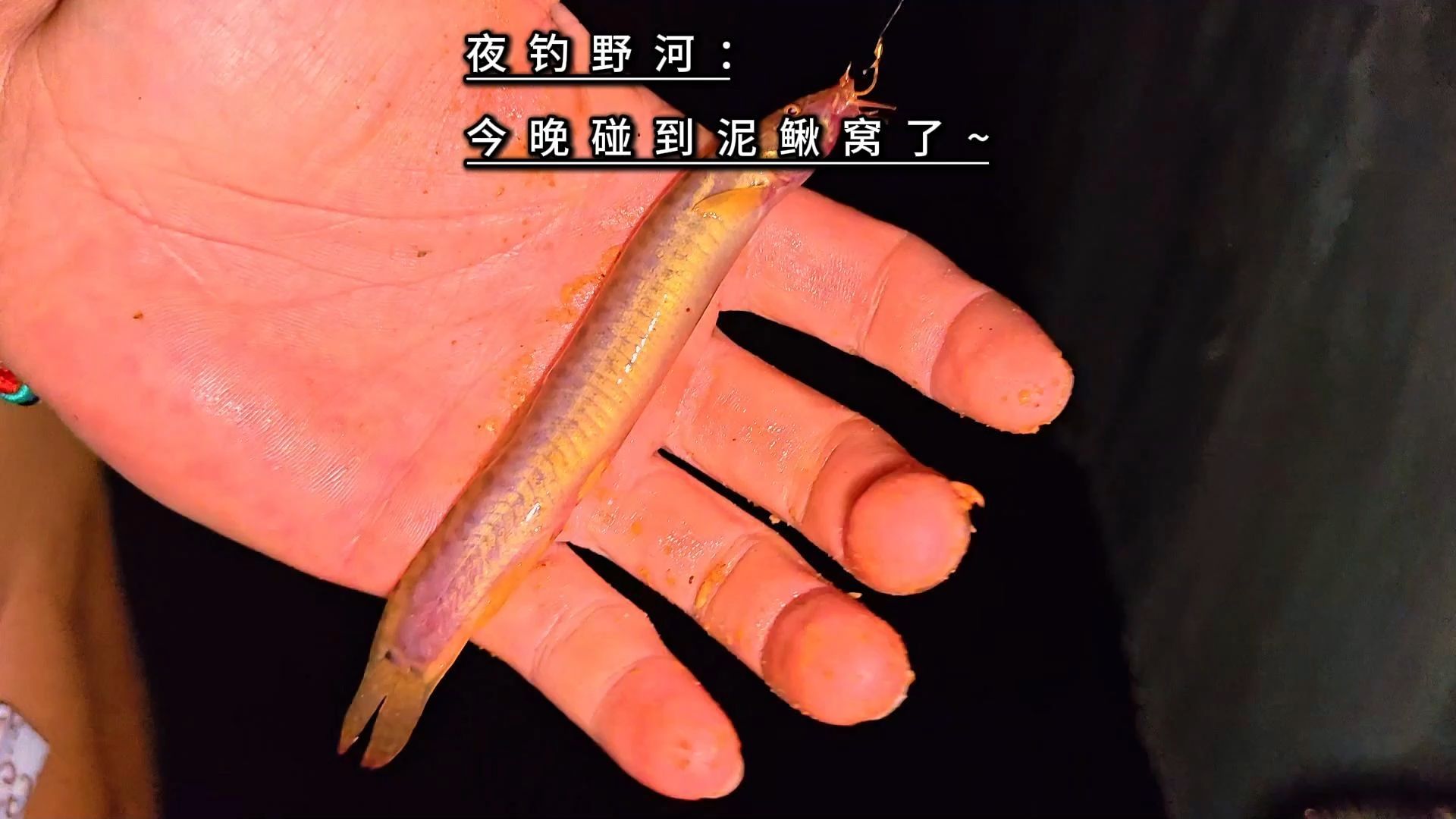 冬天泥鳅夜钓技巧(冬天用泥鳅钓鱼好钓不)