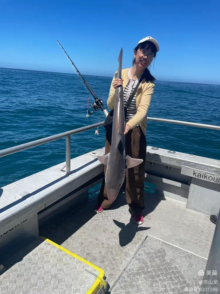 新西兰自由海钓(新西兰出海鱼类)