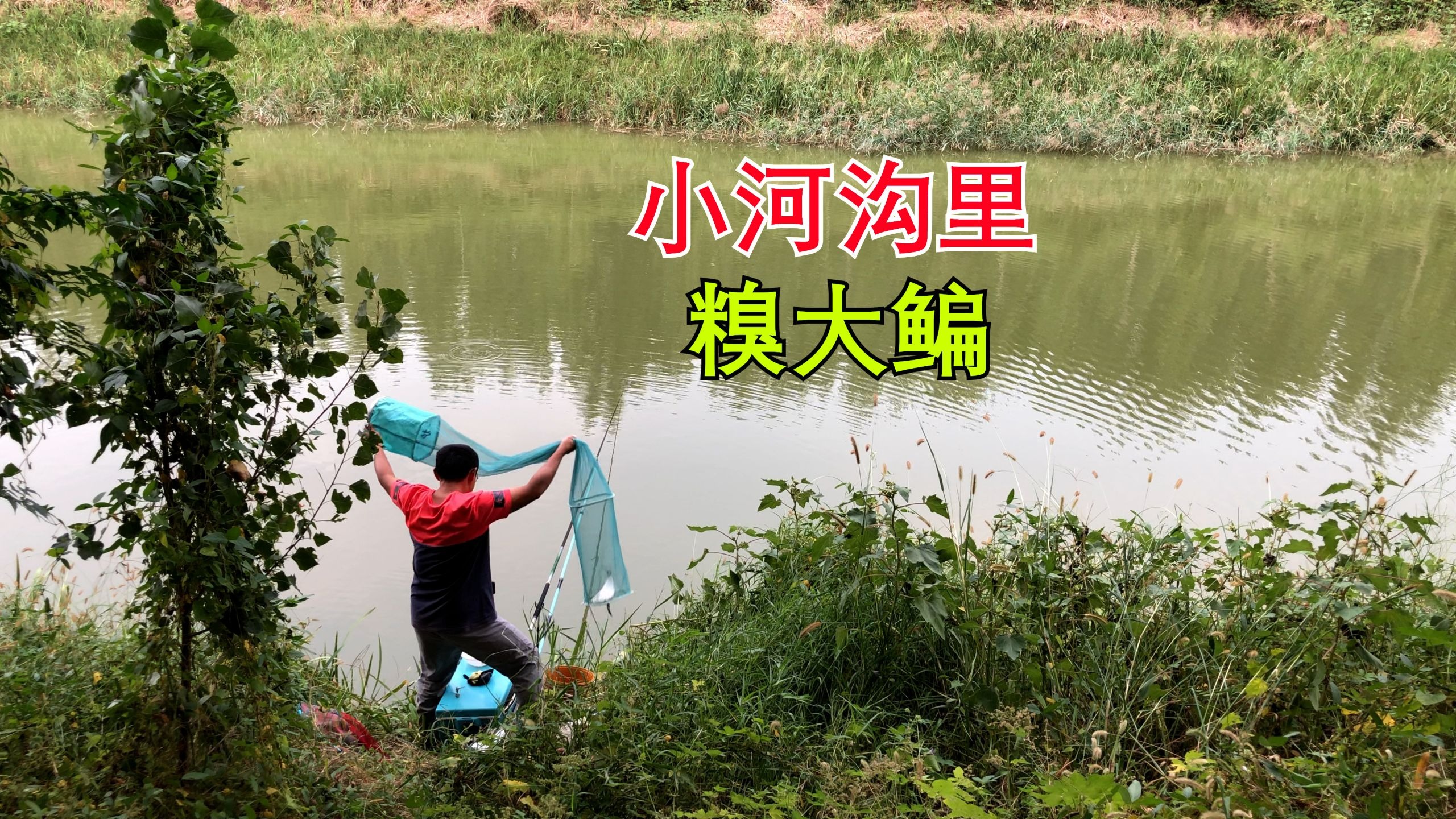 野钓鳊鱼技巧(野钓鲮鱼技巧)