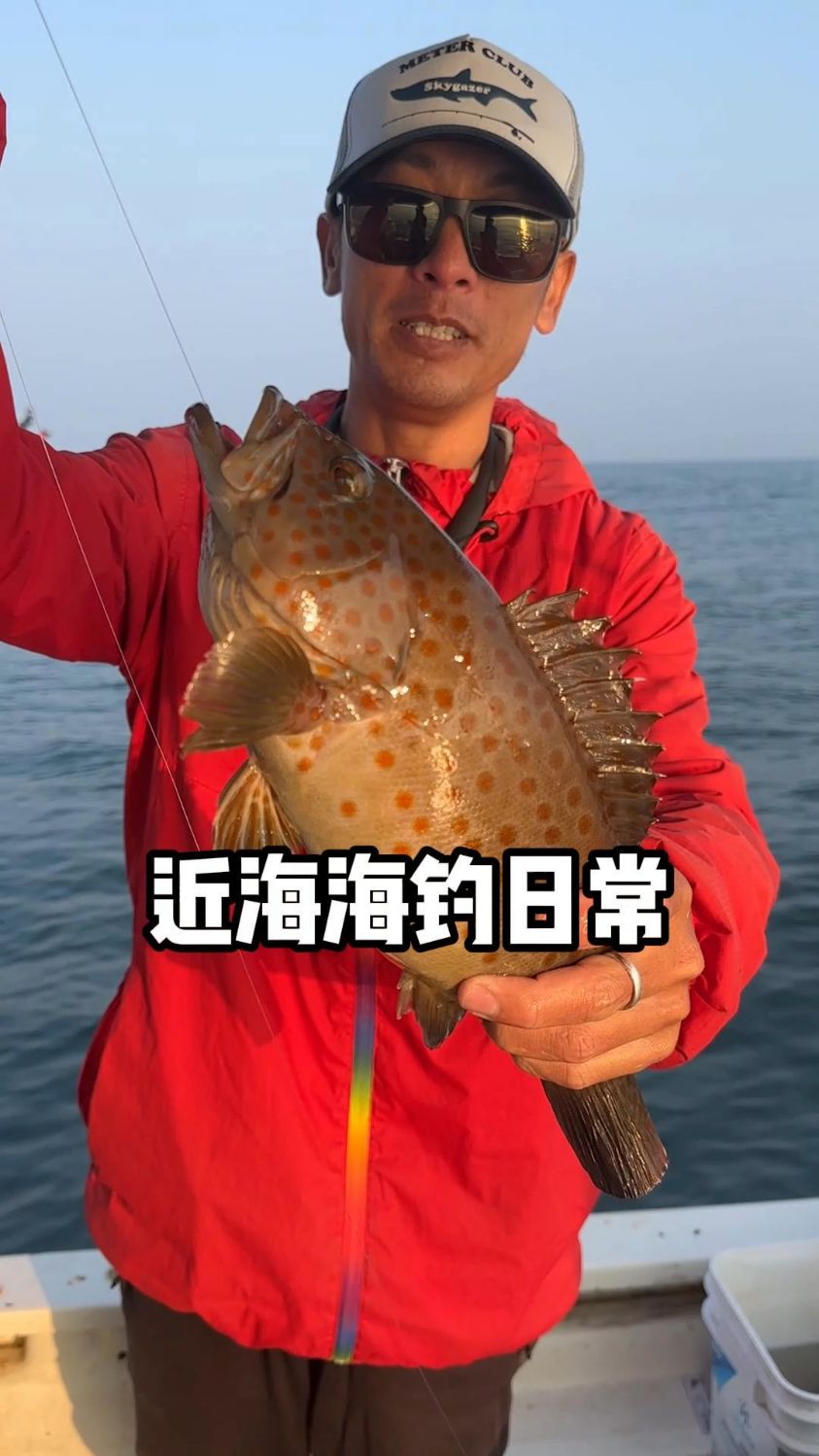 收购近海钓鱼(哪里在收购野生海鱼的)