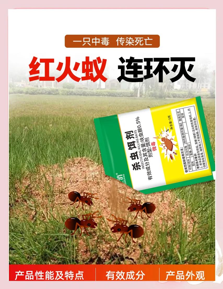 蚂蚁饵料(蚂蚁饵料怎么用)