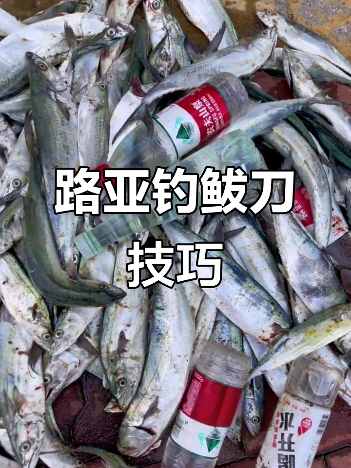 用串钩钓鲅鱼的技巧(用串钩钓鲅鱼的技巧图解)