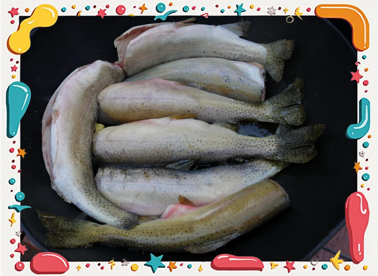 冰钓鳟鱼技巧(冰钓鳟鱼用什么饵)