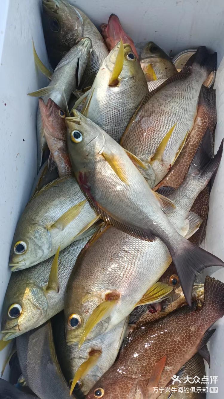 鱼获海钓(海钓入门篇二)