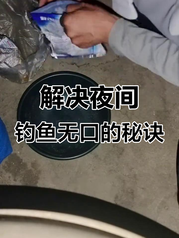 夏天夜钓技巧全攻略(夏天夜钓如何调漂)