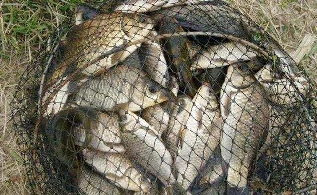 水库提前打窝技巧(大水库打窝技巧)