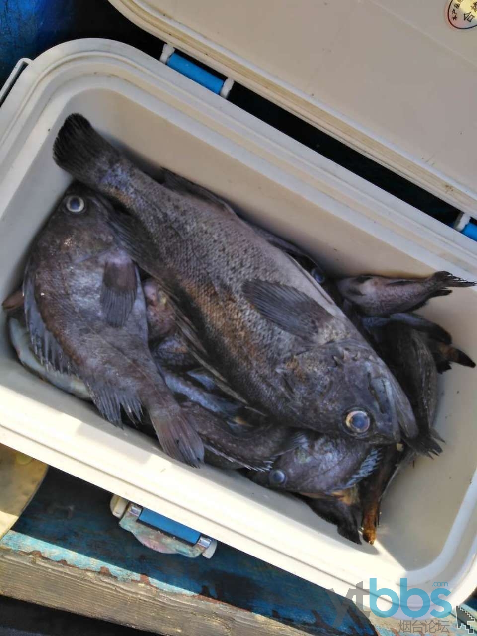 深圳海钓租船价格(深圳海钓租船多少钱)