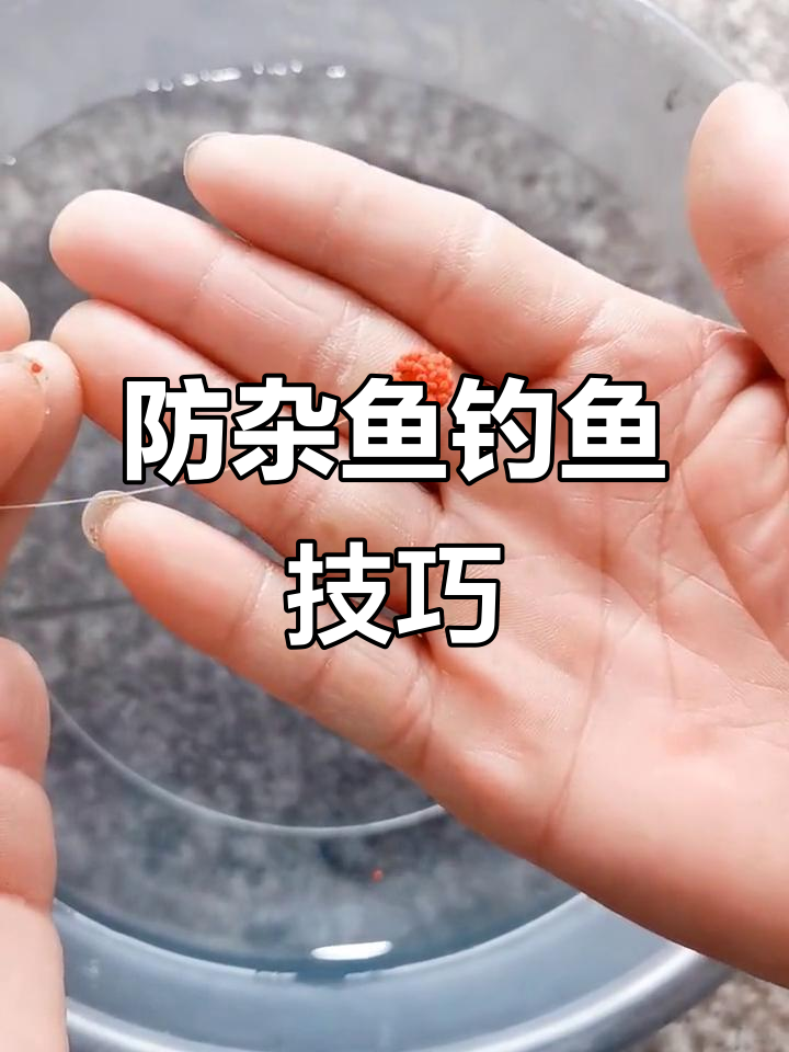 如何钓小杂鱼技巧(小杂鱼钓法)