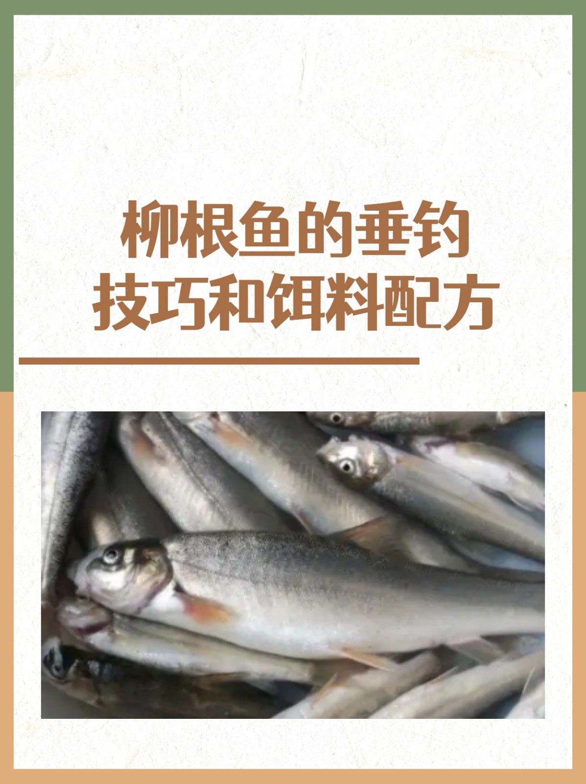 鱼挂饵料技巧(钓鱼挂鱼饵技巧)