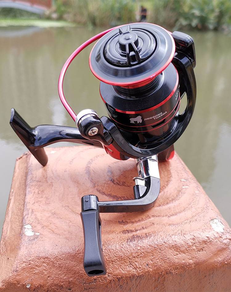 海钓轮知识(海钓的轮子有什么区别吗)