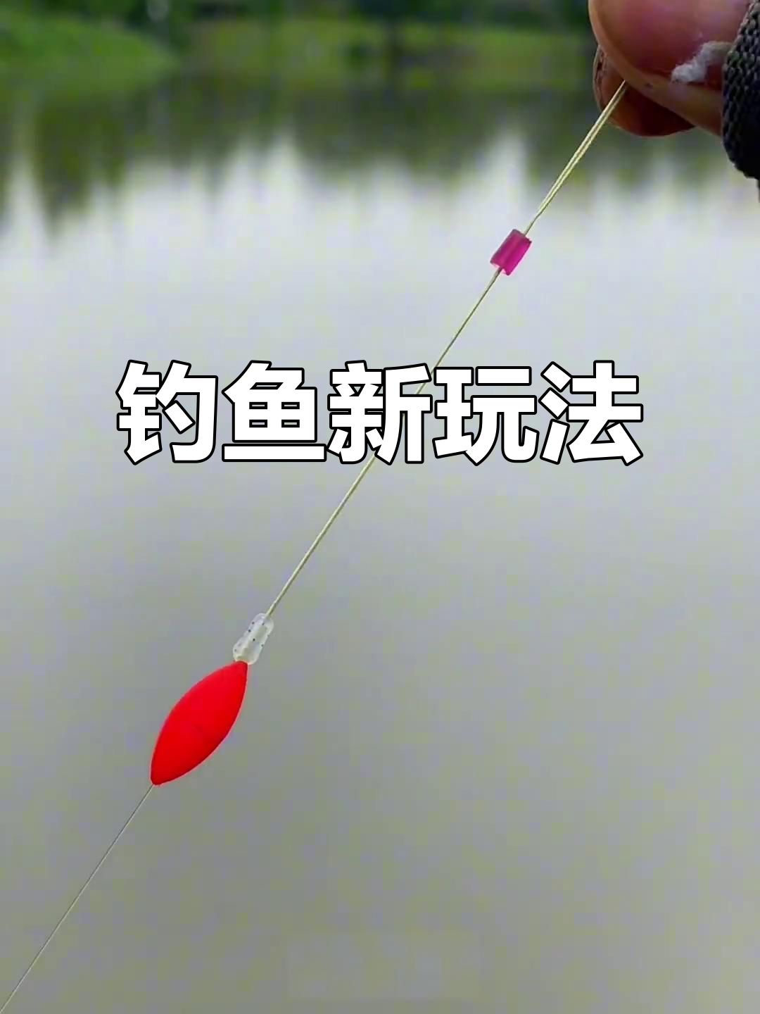 水库里钓大鱼的技巧(水库里钓大鱼的技巧图解)