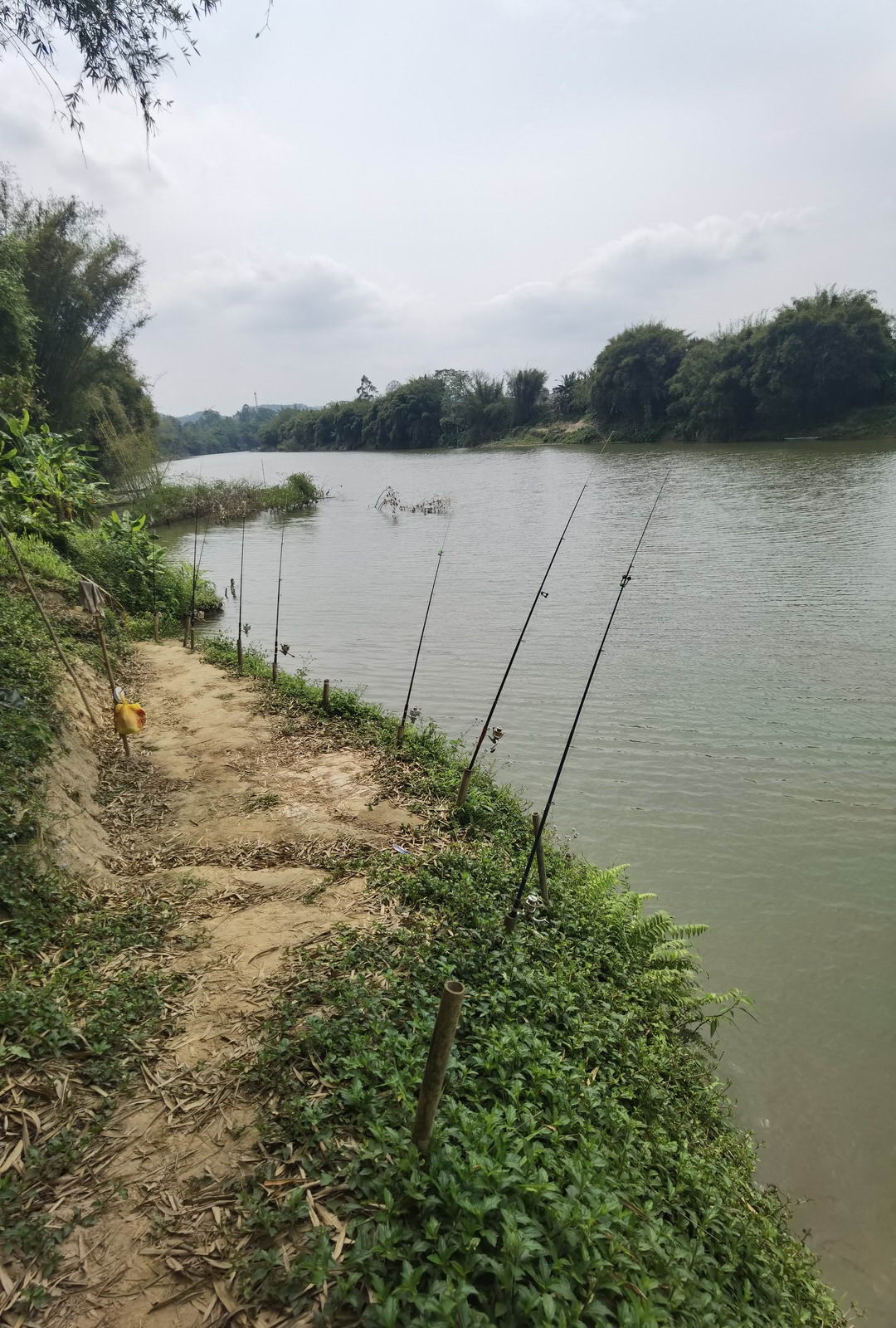 盐田竹排海钓(盐田海滨栈道垂钓区)