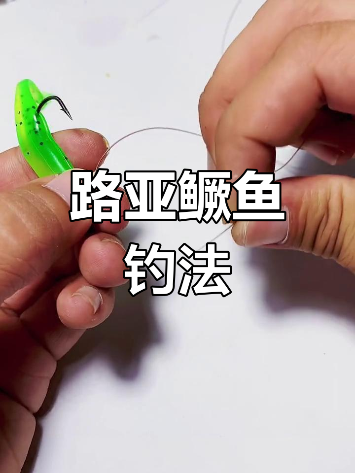 路亚泥鳅怎么挂钩(路亚泥鳅挂钩的正确挂法)
