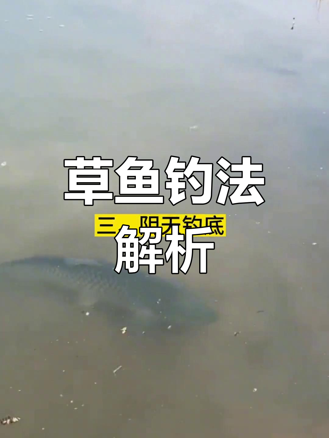 笩杅钓底技巧(鳑鲏用什么饵料钓最好)