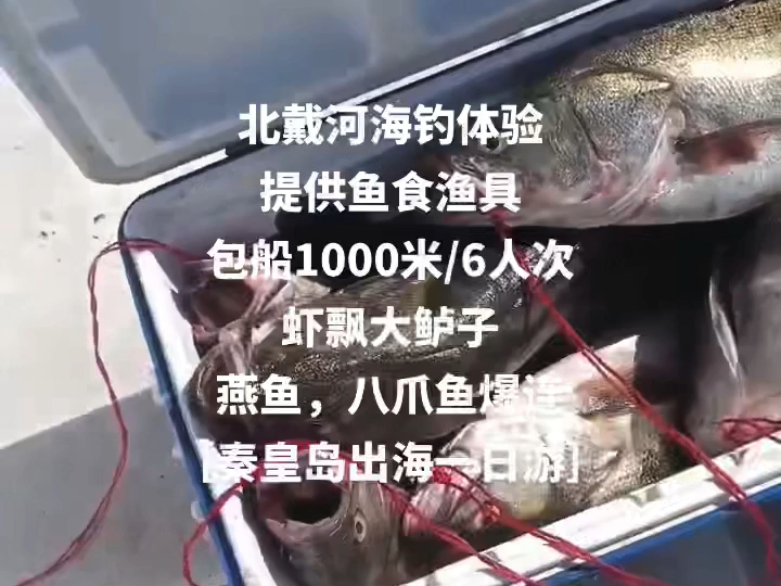 秦皇岛海钓公司(秦皇岛海钓俱乐部)