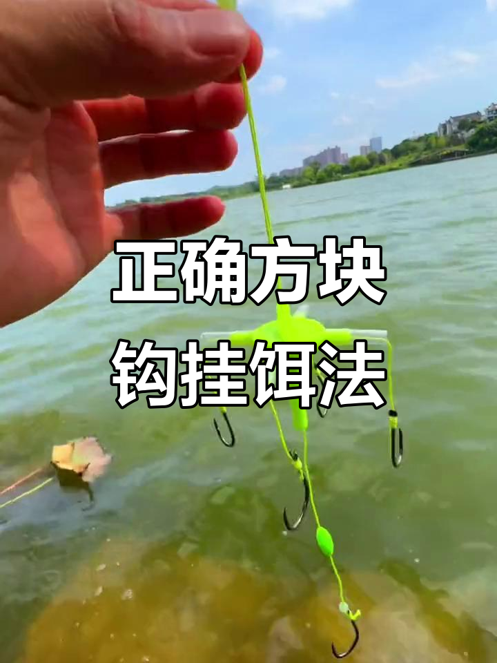 钓鱼饵料怎么挂钩图片(鱼饵饵料怎么挂钩)