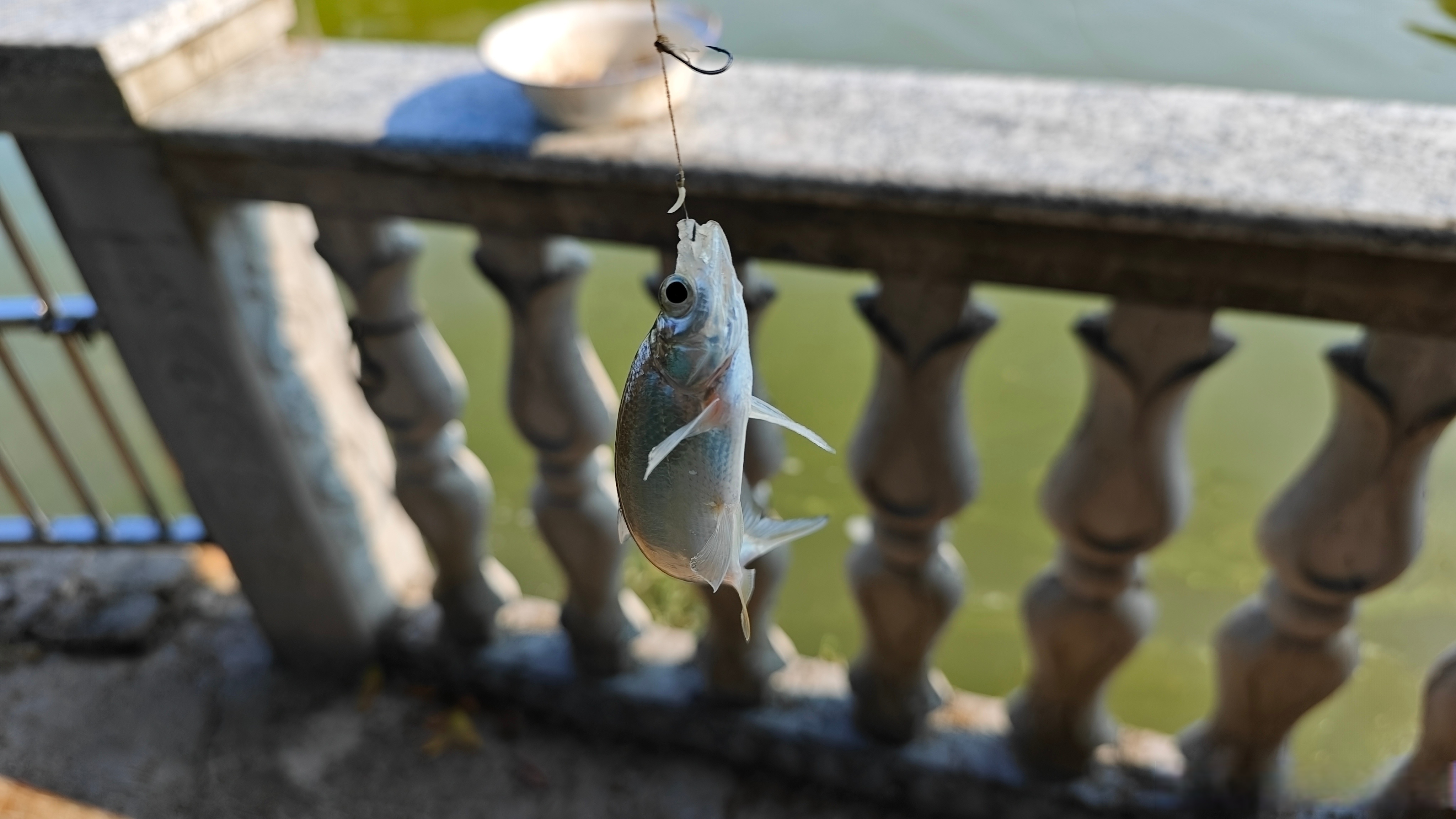 路亚条(路亚条装配) 路亚条(路亚条装配)