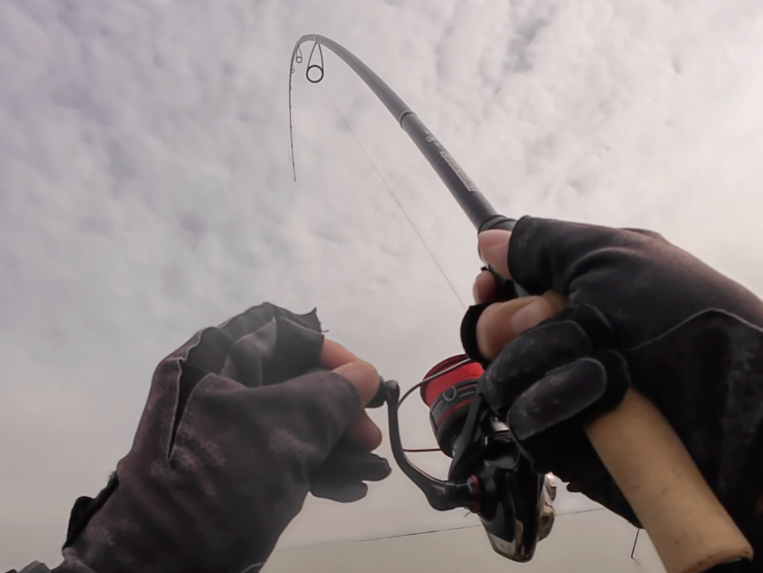 冬天重庆路亚(重庆地区路亚竿可以钓哪些鱼)