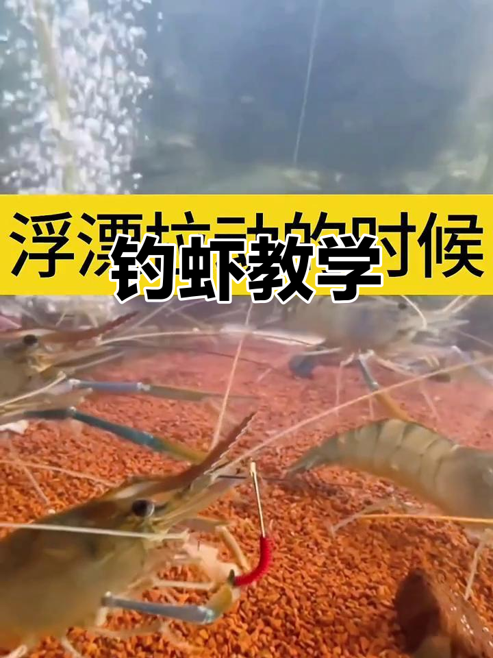 钓虾场钓虾技巧(钓罗氏虾的七个口诀)