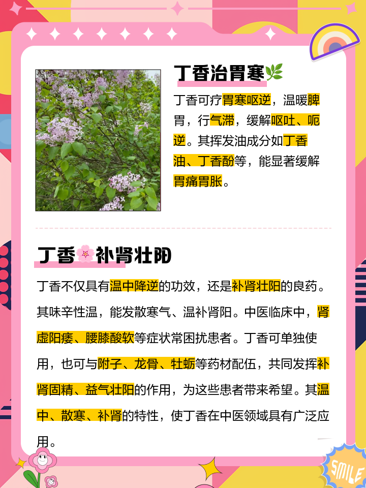 丁香怎么配制鱼饵料(丁香怎么配制鱼饵料好吃)