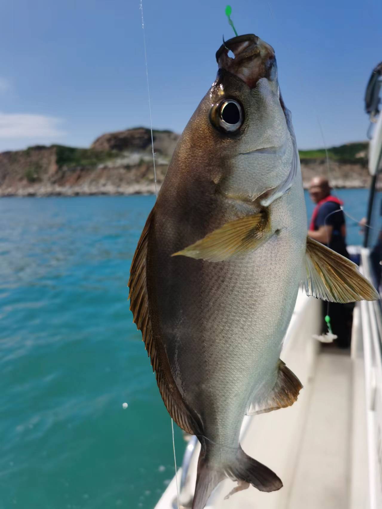 深圳海钓常见的鱼种(深圳海钓有哪些地方)