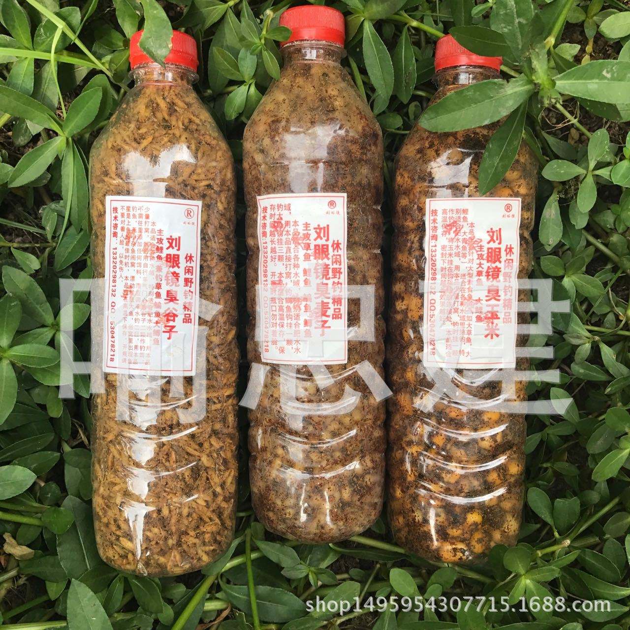 化绍新渔具店加盟多少钱(开个渔具店一年能赚多少钱)