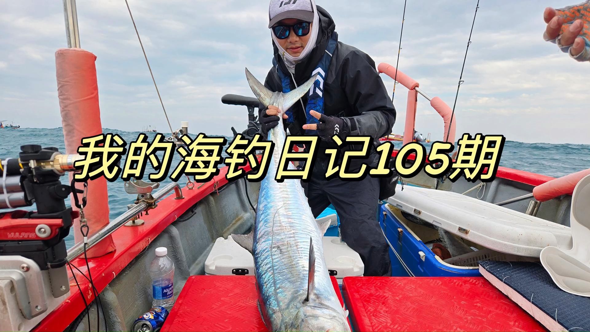 大青针海钓秘籍(大青针有什么鱼种)