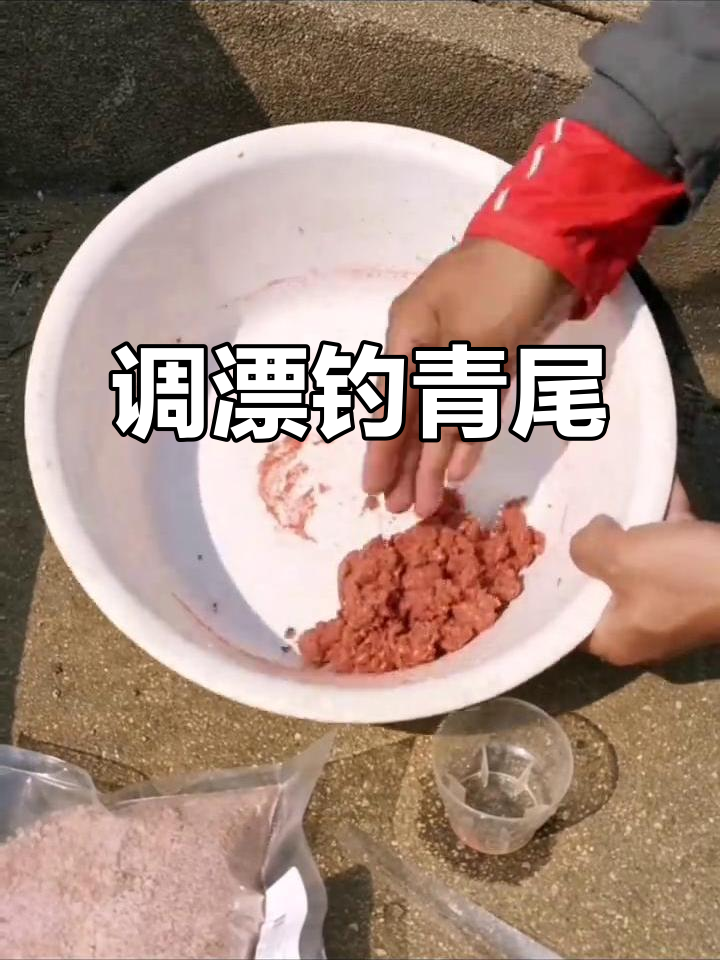 垂钓青鱼技巧视频大全(钓青鱼视屏) 垂钓青鱼技巧视频大全(钓青鱼视屏)