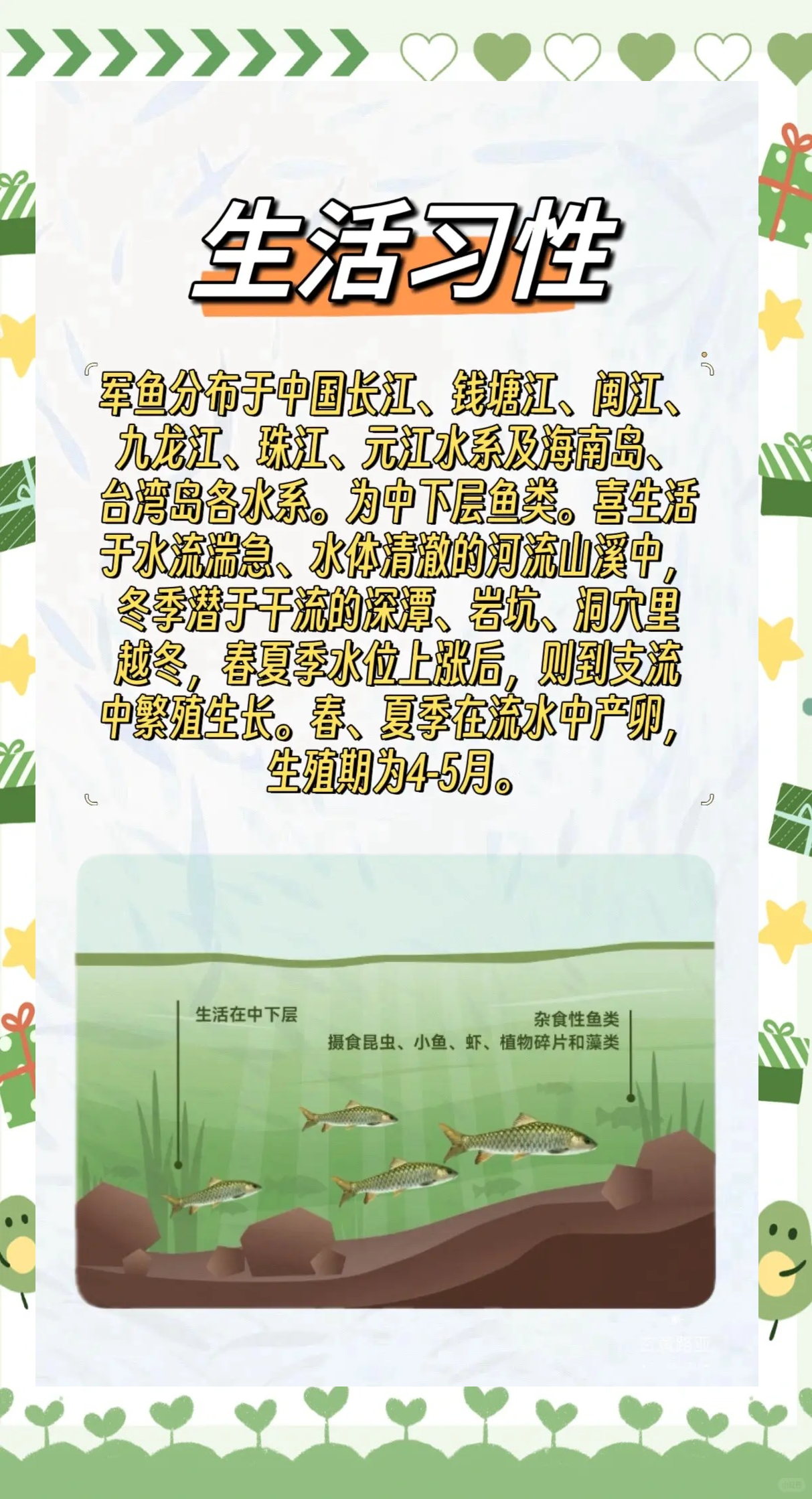 垂钓青鱼技巧视频大全(钓青鱼视屏) 垂钓青鱼技巧视频大全(钓青鱼视屏)