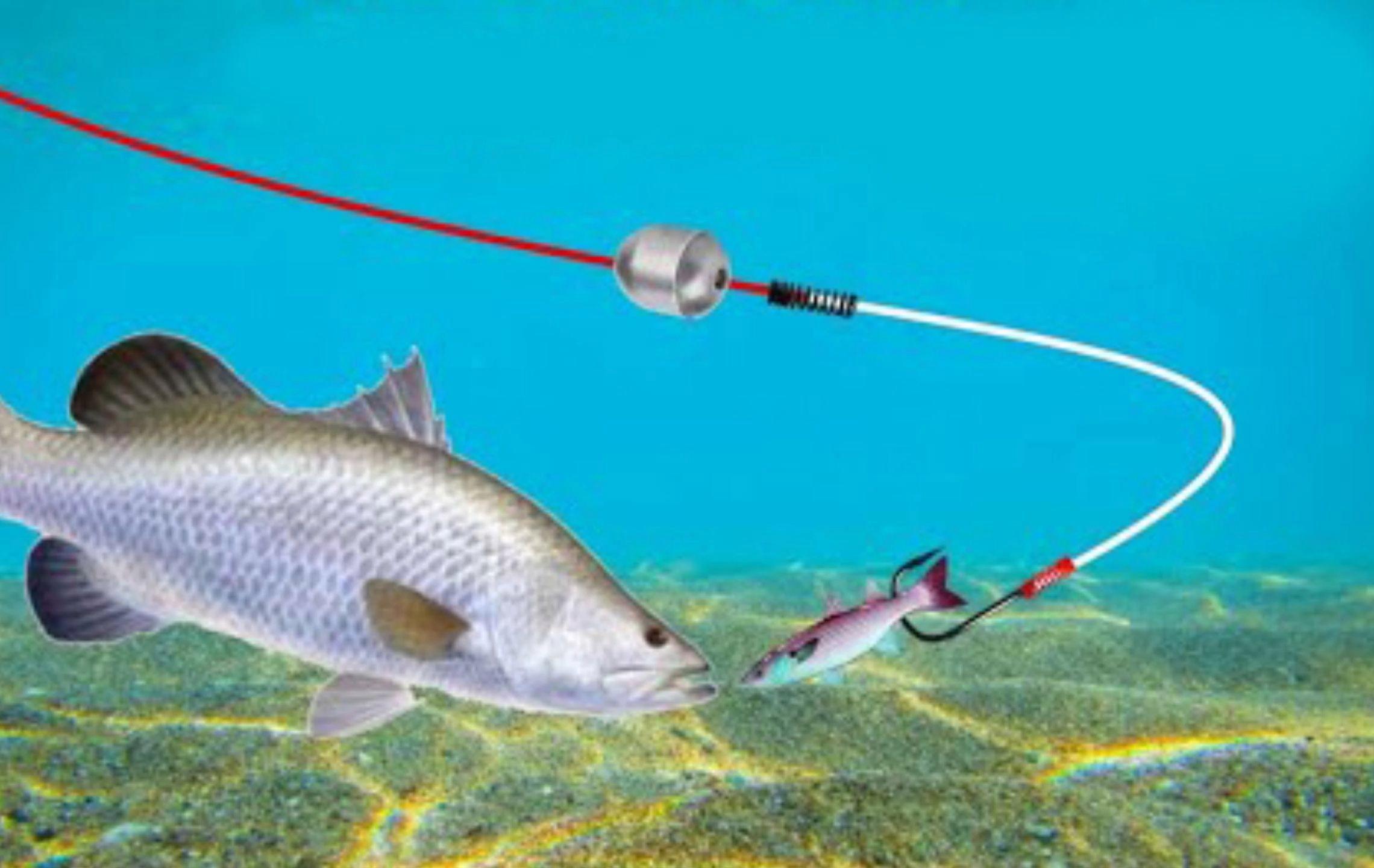 路亚钩组(路亚钩组绑法) 路亚钩组(路亚钩组绑法)