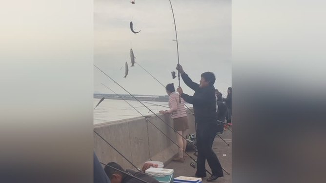 海滩钓鱼技巧扎串钓(海边钓鱼用串钩的方法)