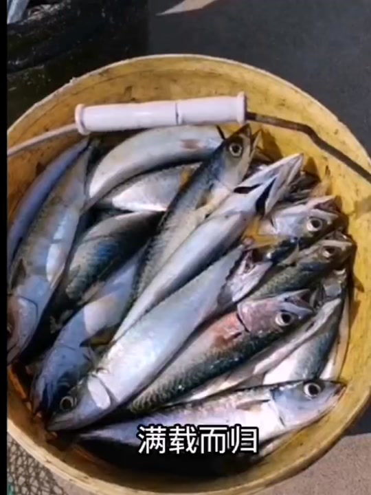 瓜皮岛海钓费用(瓜皮岛海钓时间四月)