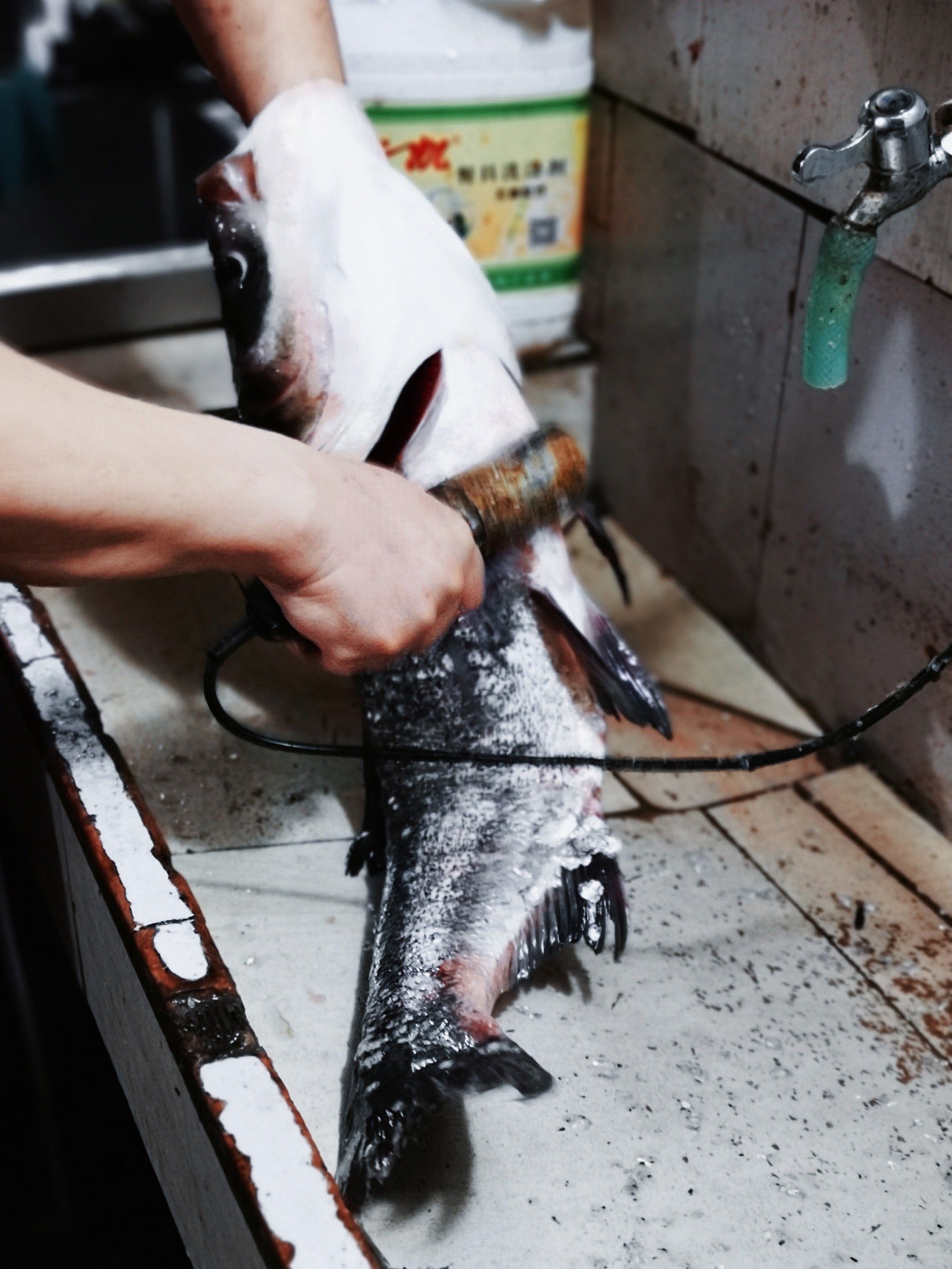 迎龙湖路亚(新手路亚入门基本知识)